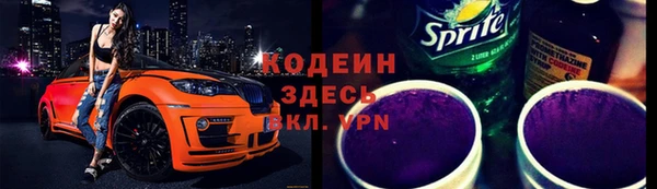 индика Кукмор