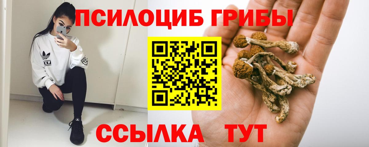Галлюциногенные грибы Psilocybine cubensis  Псилоцибиновые грибы мицелий  Кашира 