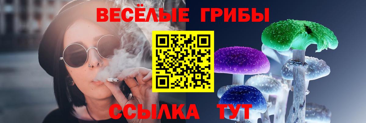 Псилоцибиновые грибы MAGIC MUSHROOMS Кашира