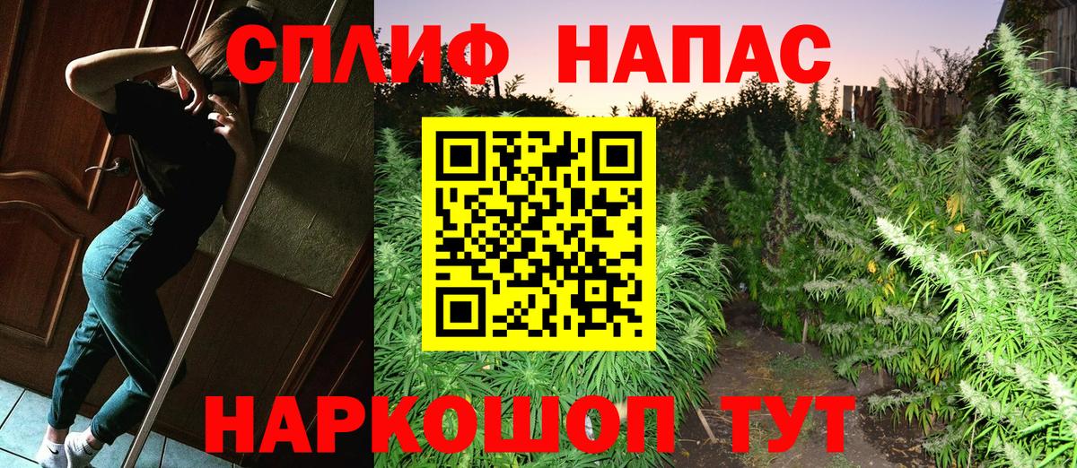 Конопля конопля Кашира