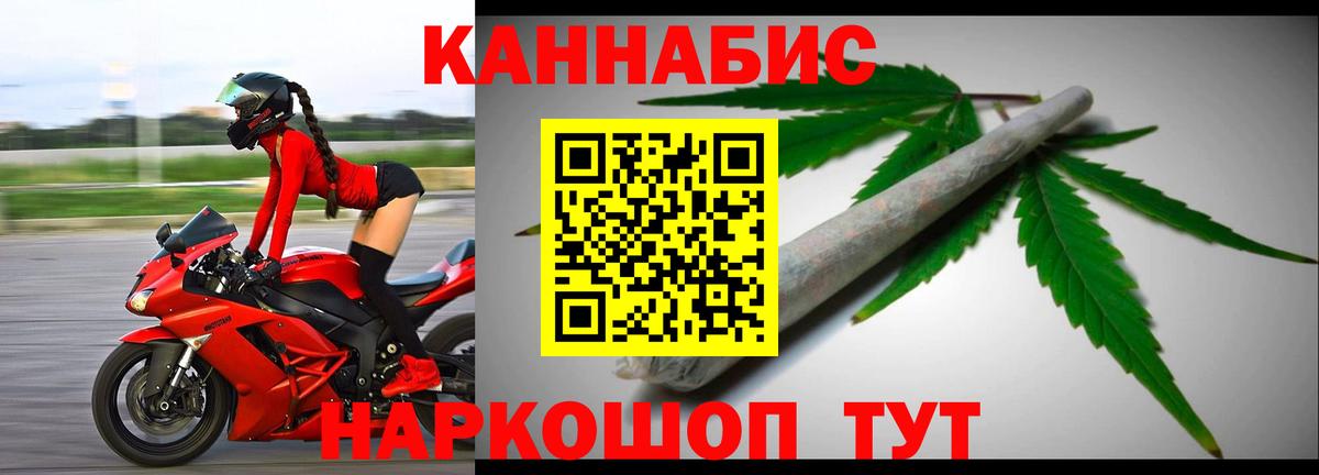 Каннабис конопля Кашира